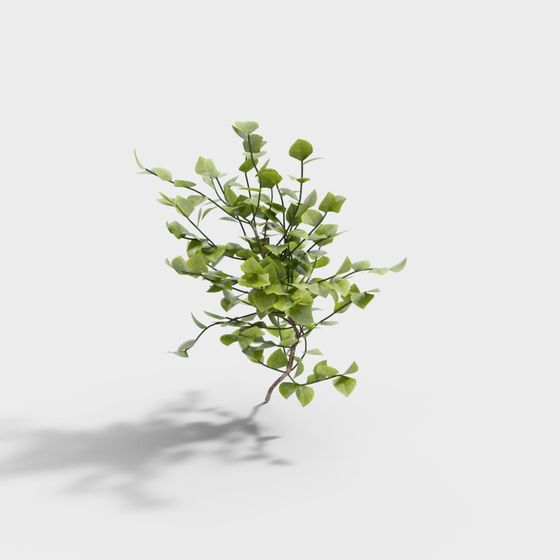 Vines of Life 3D model - Lively Greenery