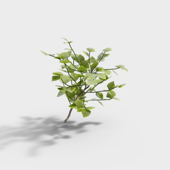 Nature's Hand Low-Poly Plant 3D model