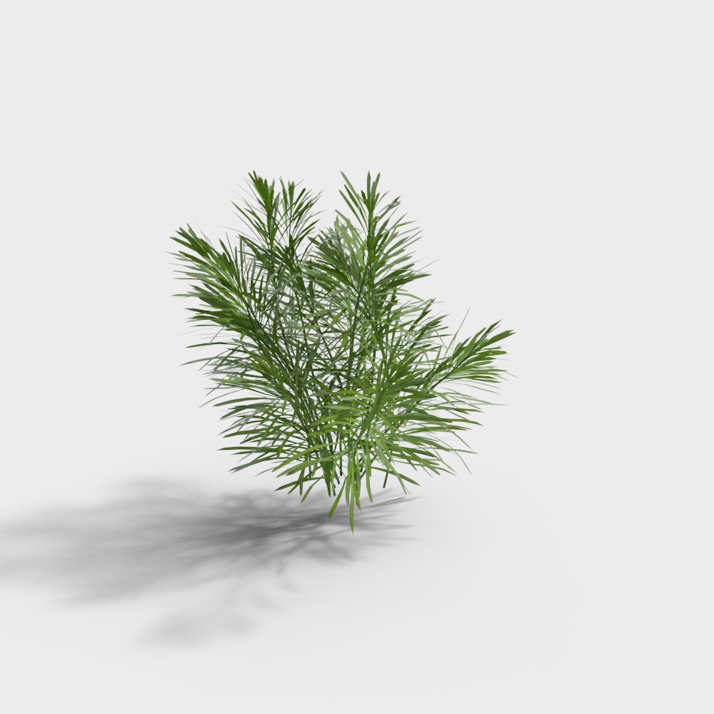 Exterior Greenery 101