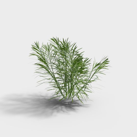 Realistic Tropical Palm Tree 3D model for Creative Projects