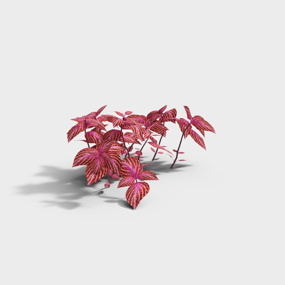 Наружная зелень 139