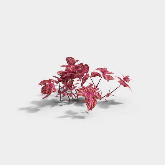 Tropical Plant 3D model for Creative Projects