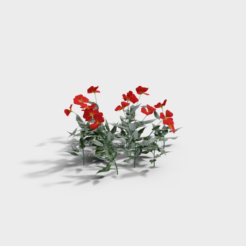 Exterior greenery 125