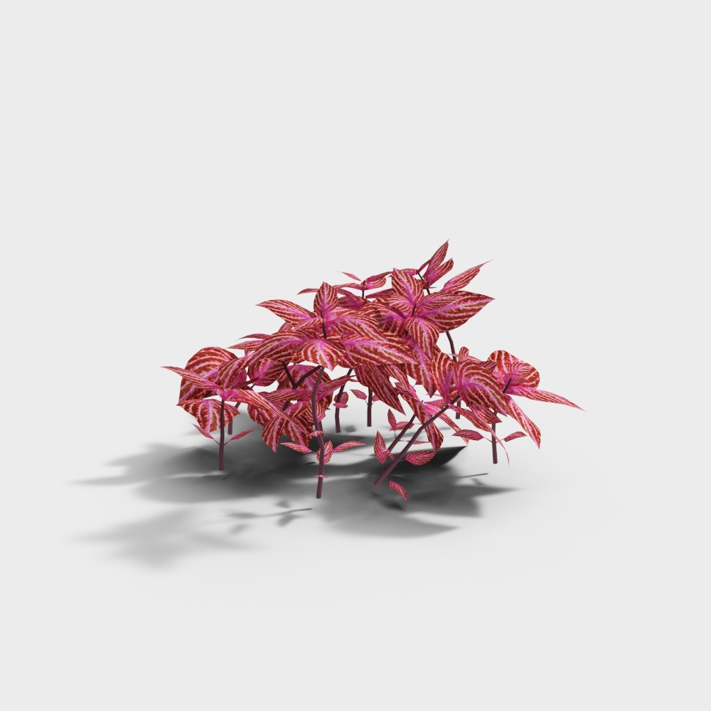 Exterior greenery 136