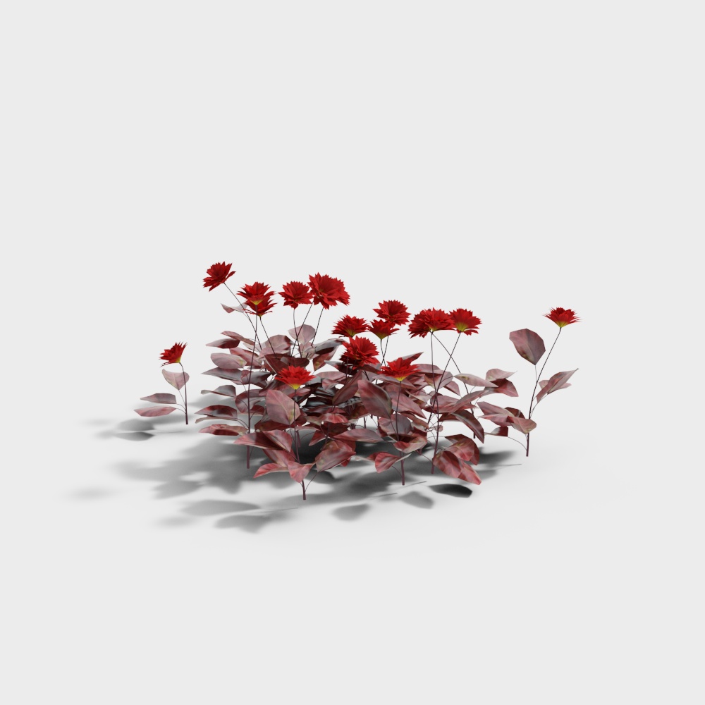 Exterior greenery 129