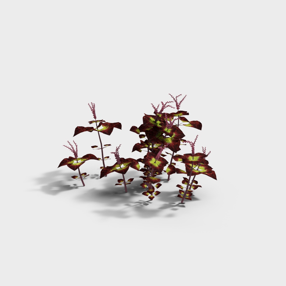 Exterior greenery 131