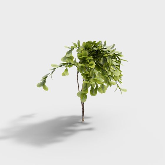 Vibrant Seedling 3D Model for Creative Projects