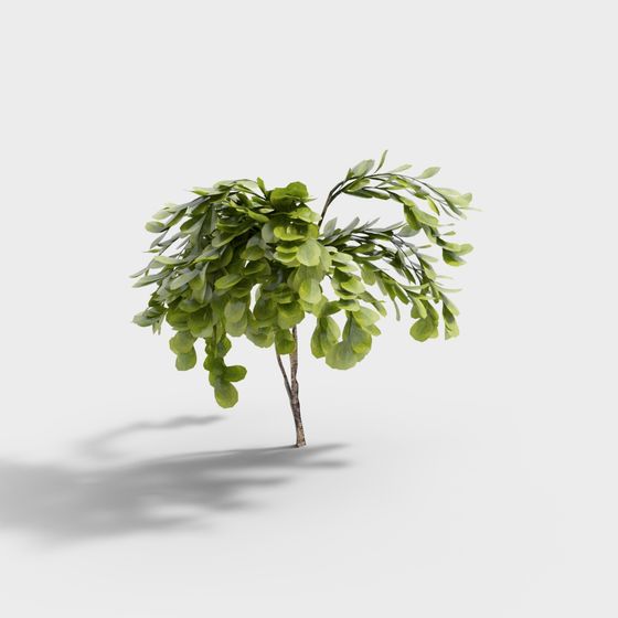 Charming Seedling 3D Model for Creative Projects
