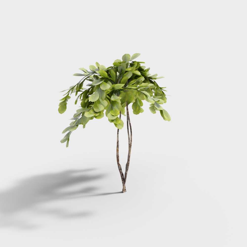 Exterior greenery 143