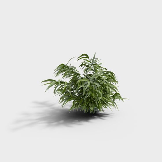 Lively Bamboo Forest 3D model for Creative Spaces