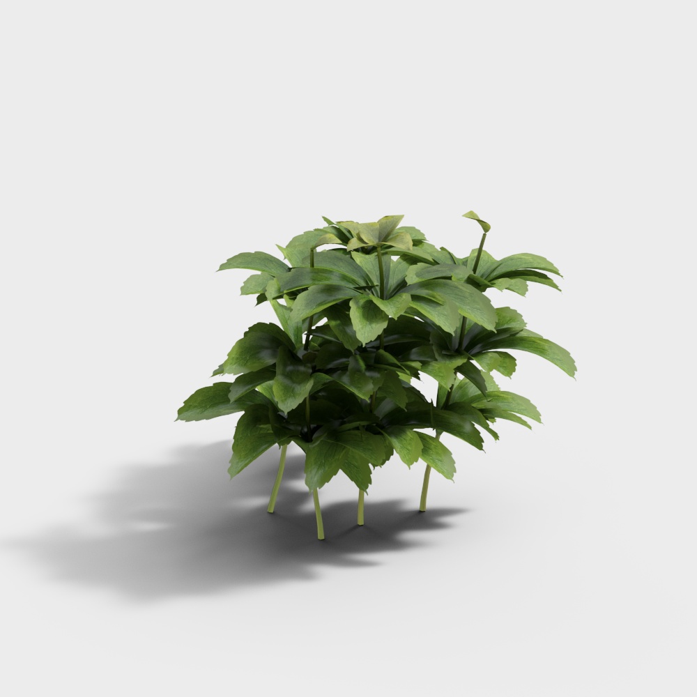 Exterior greenery 83