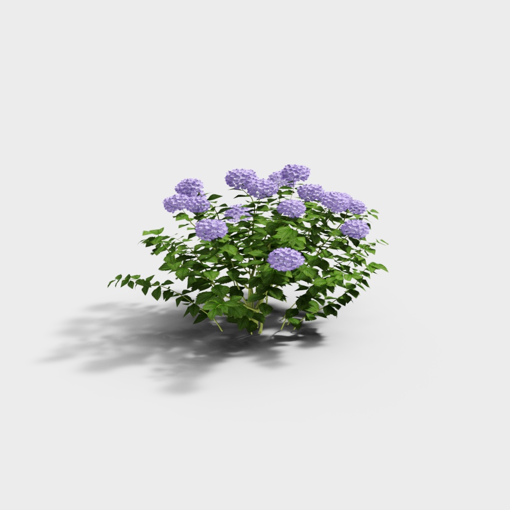 Exterior greenery 20