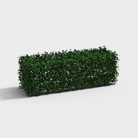 Césped verde exterior