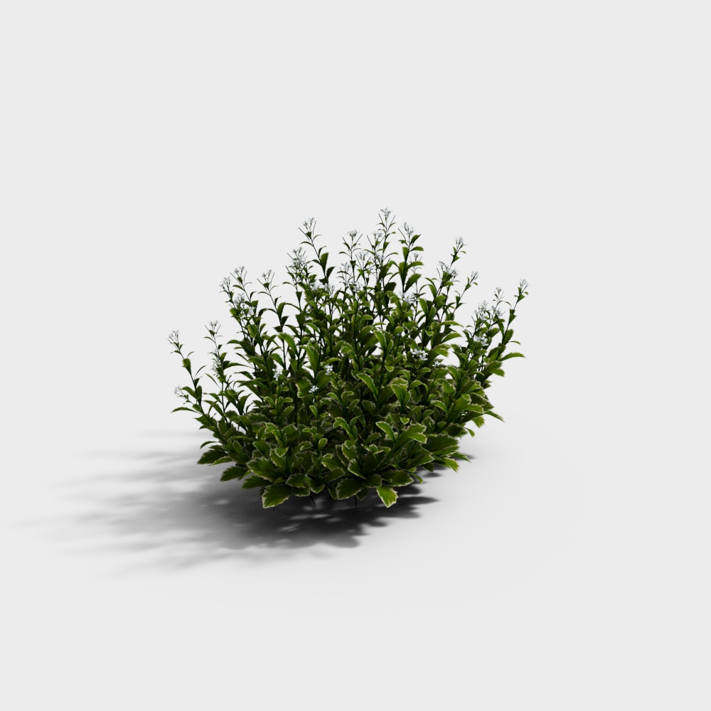 외부 녹지 2 GRASS