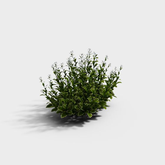 외부 녹지 2 GRASS