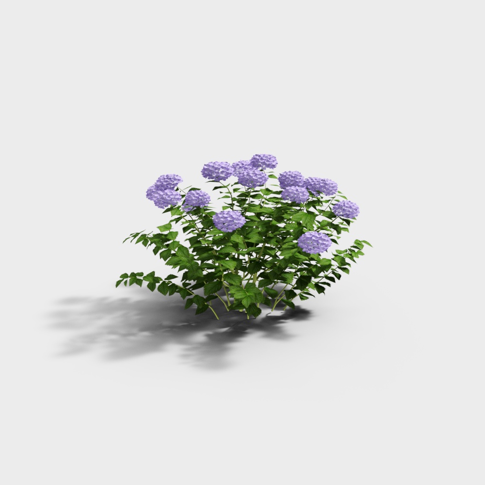 Наружная зелень 22