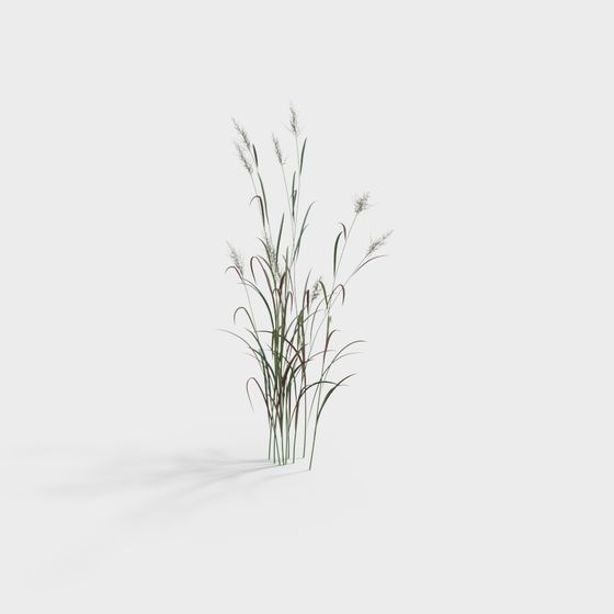 Realistic Low Poly Grass 3D Model for Various Environments