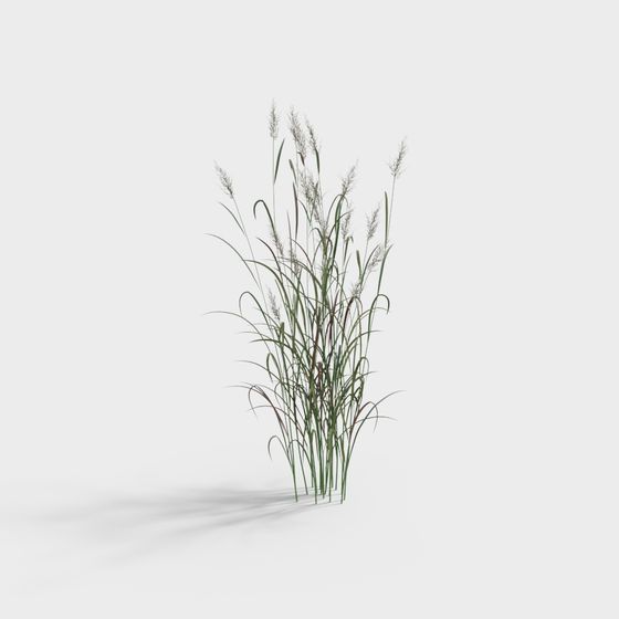 Realistic Low-Polygon Grass 3D Model