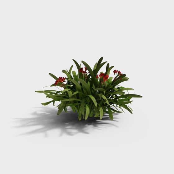 Lively Garden Life 3D model for Creative Designs