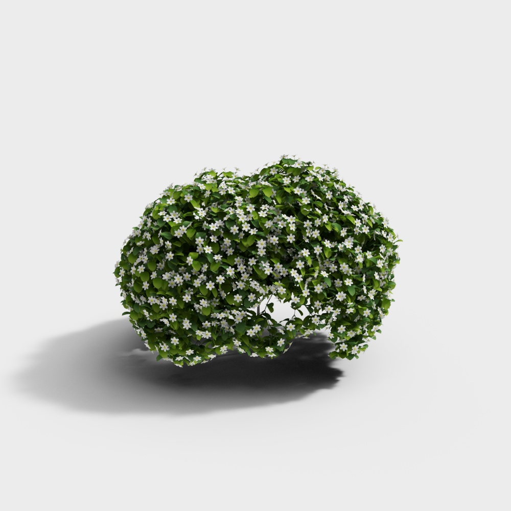 Végétation extérieure 25