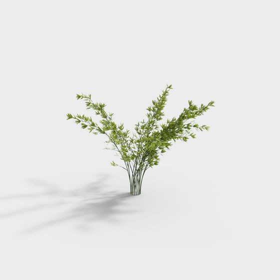 Bamboo Forest Vitality 3D model