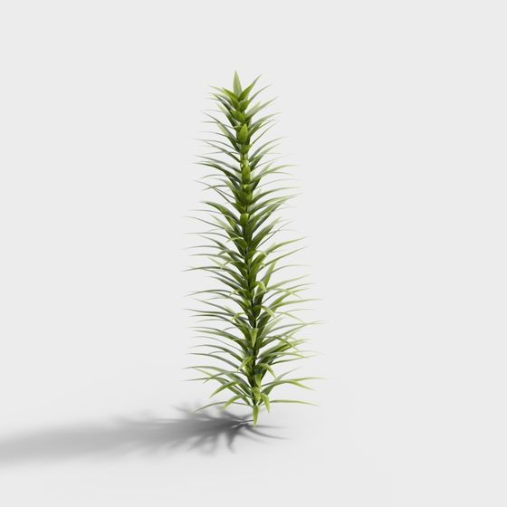 Tropical Plant 3D Model with Low-Poly Design