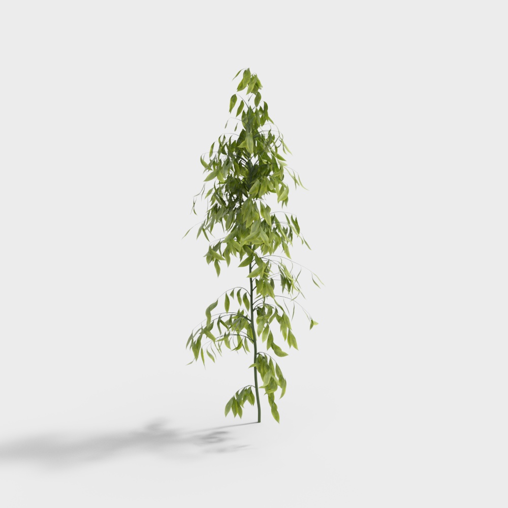 Exterior greenery 54