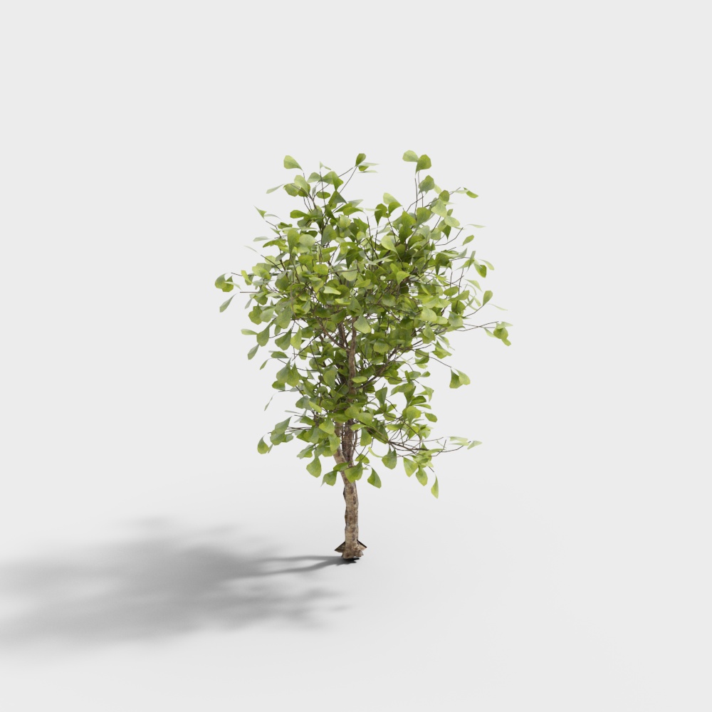 Exterior greenery 68