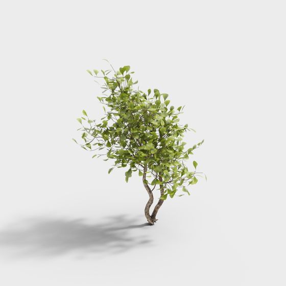 Экстерьер зелени 69