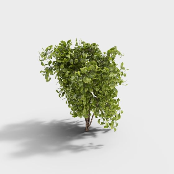 Vibrant 3D Model Small Tree for Creative Projects