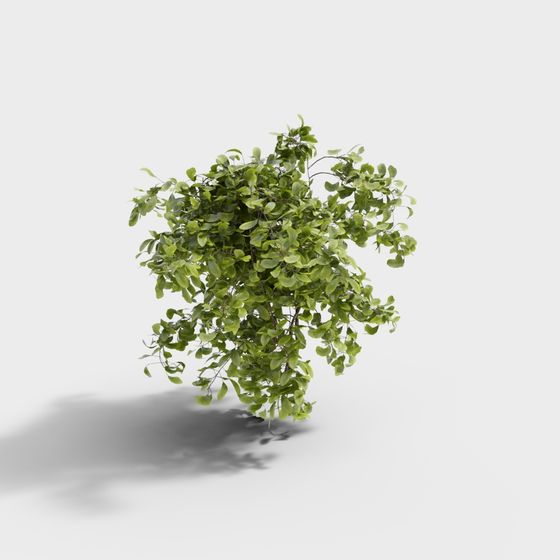 Low Poly Forest Spirit 3D model