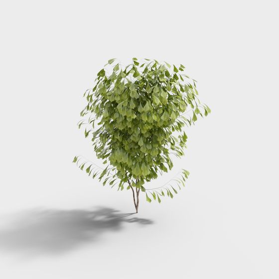 Forest Spirit Low Poly 3D Model