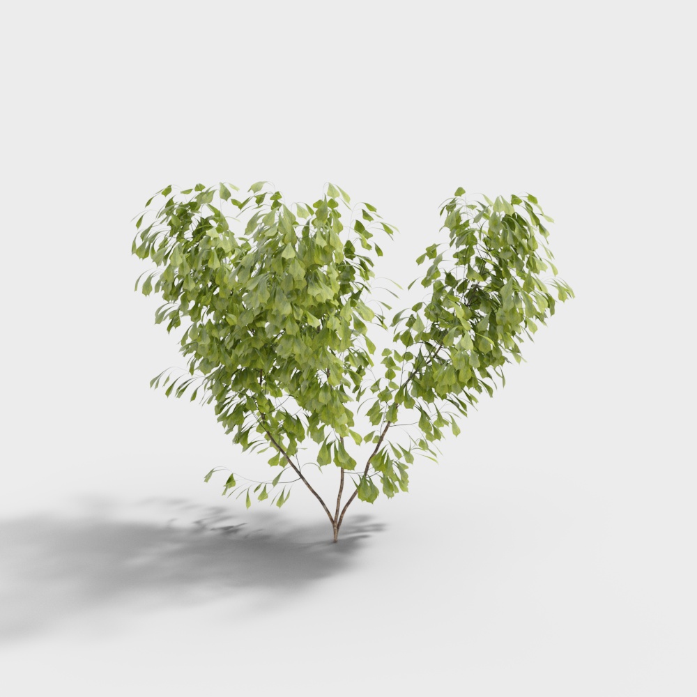 Exterior greenery 48