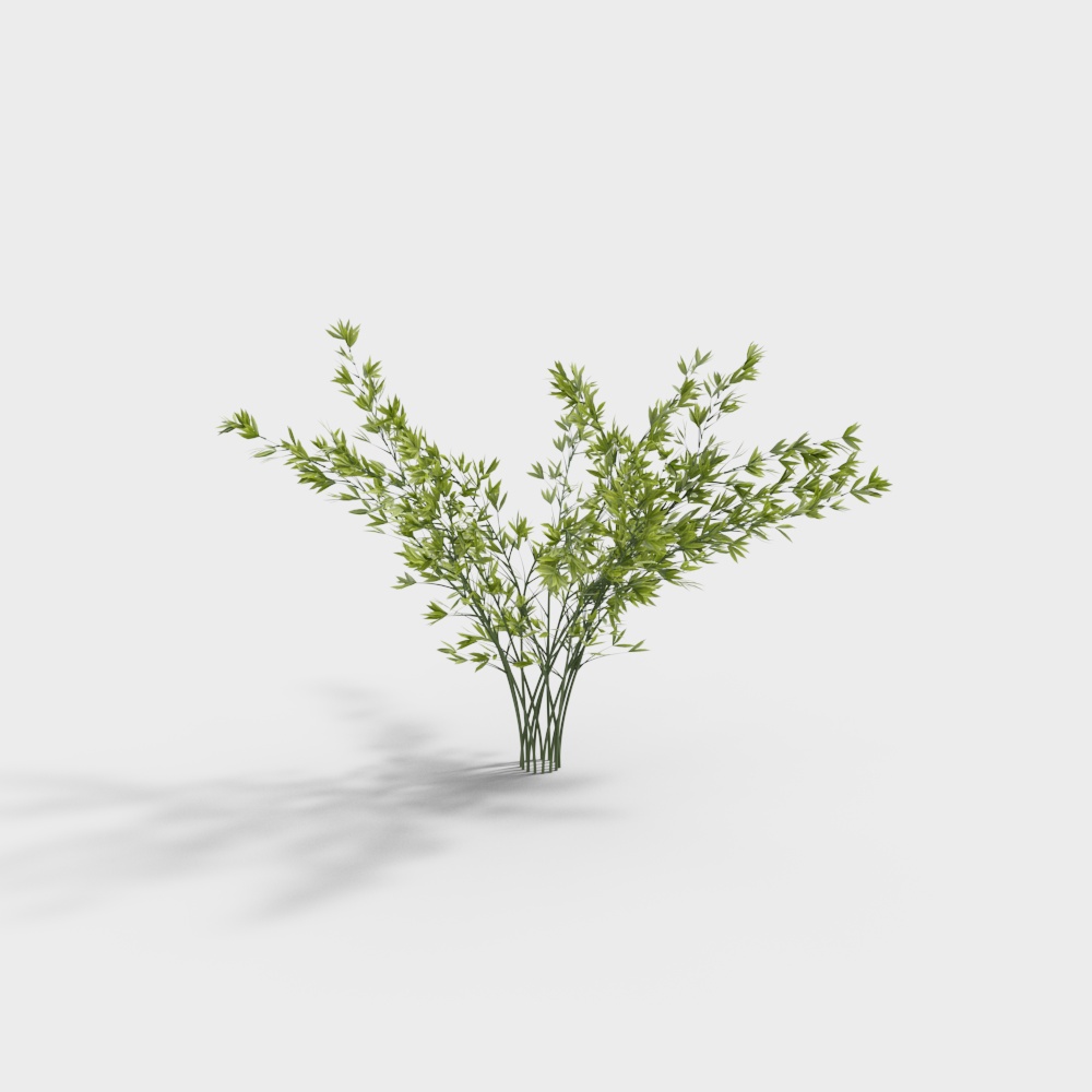 Végétation extérieure 41