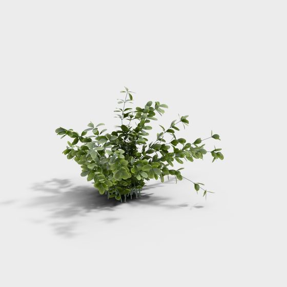 Soul of the Forest 3D model