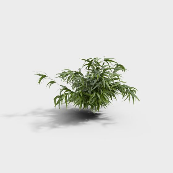 Bamboo Grove Vitality 3D model