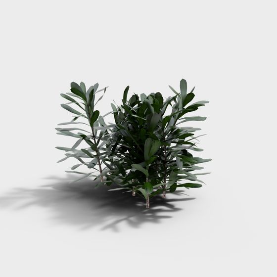 Tropical Foliage 3D model for Vibrant Designs