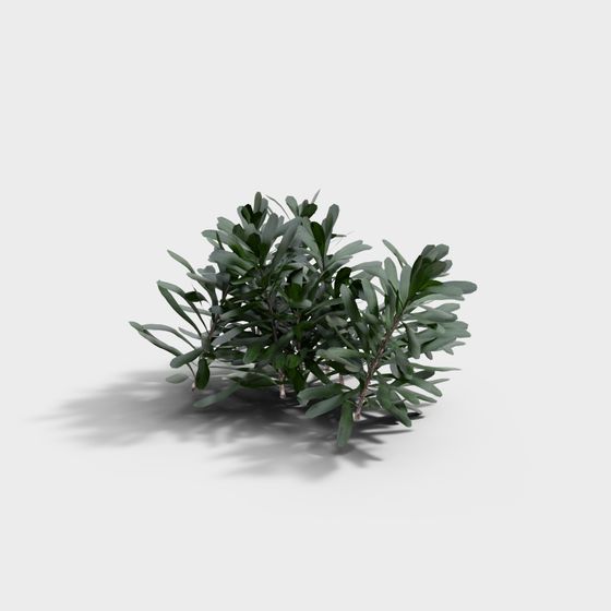 Forest Spirit 3D model