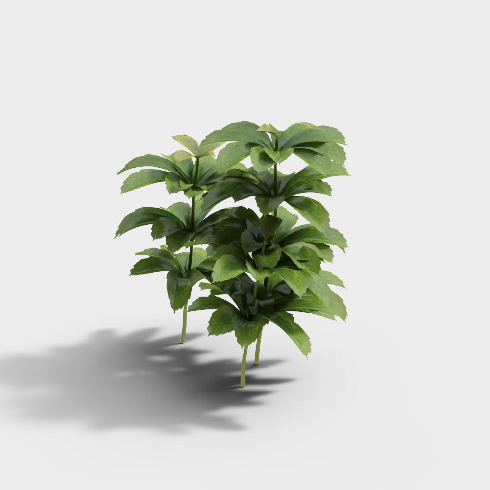 Exterior greenery 84