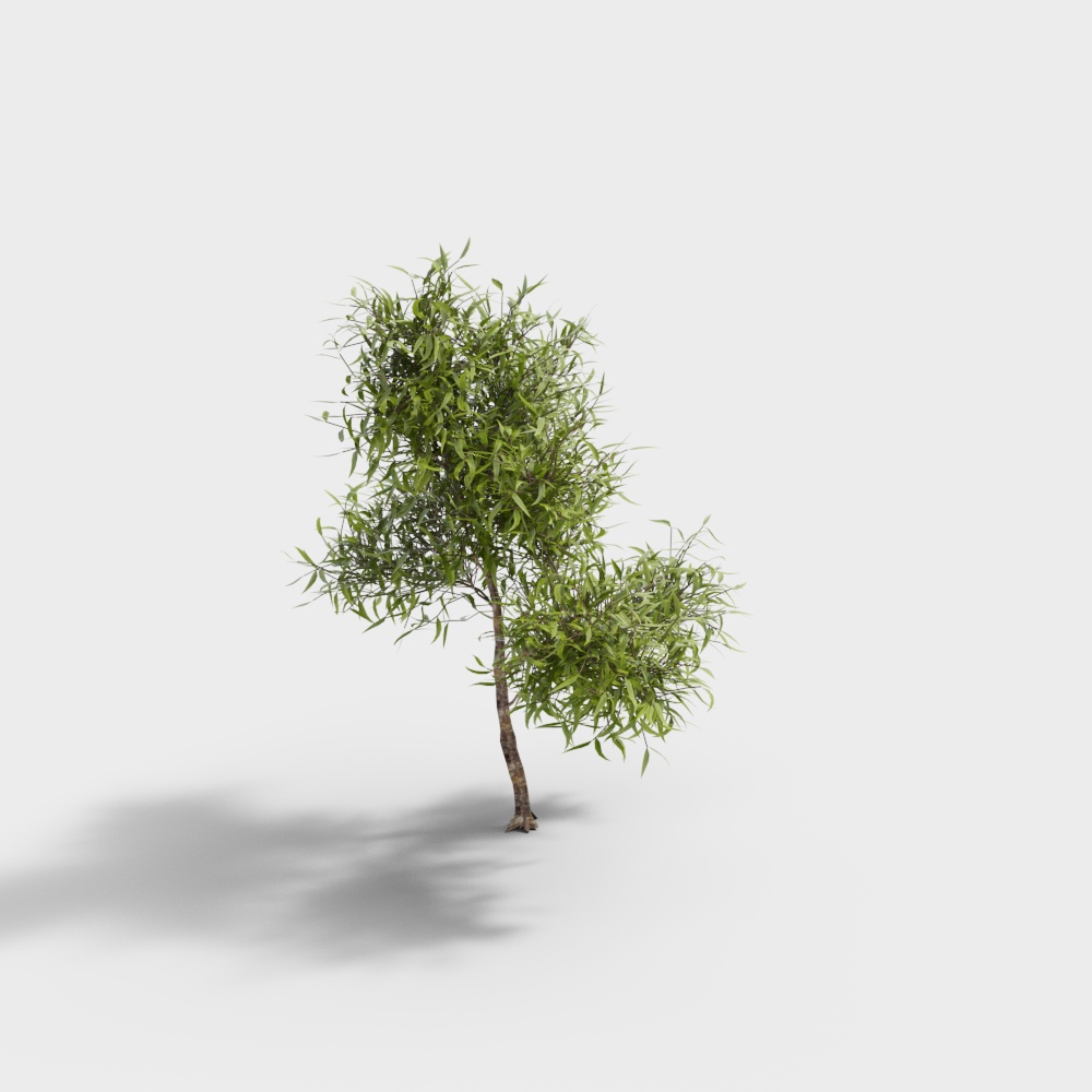 Exterior greenery 65