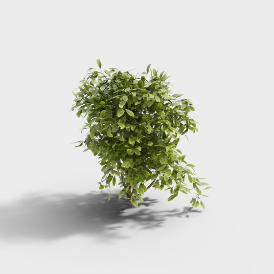 Lush Bush Low-Polygon 3D Model