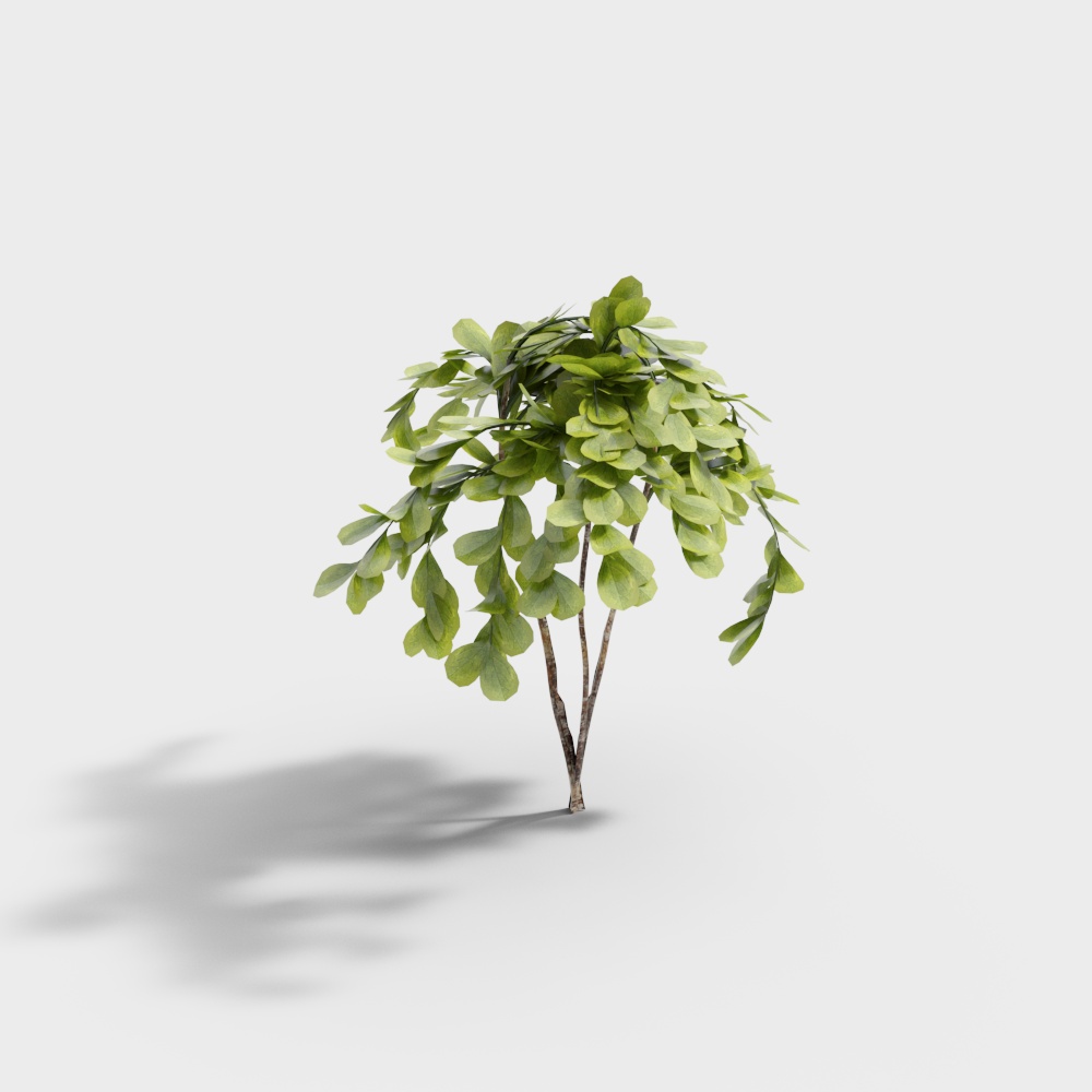 Exterior greenery 141