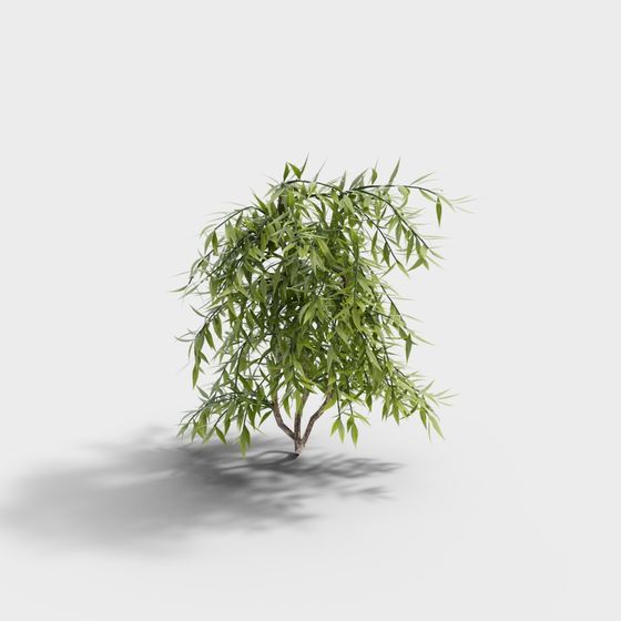 Willow Tree 3D Model - Low-Poly & High-Detail Design