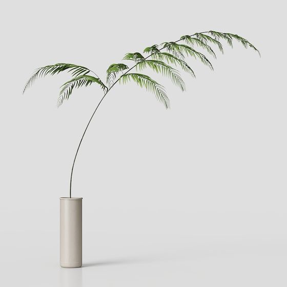 Tropical Plants 3D Model for Creative Designs