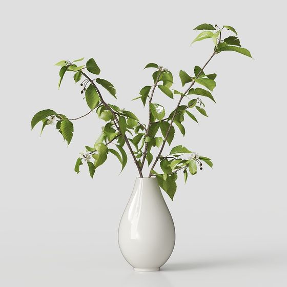 Spring Vase 3D model