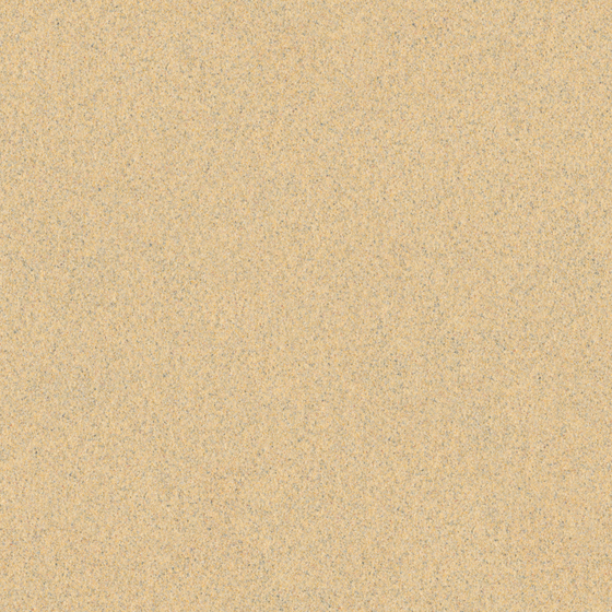 Wall Paints/Coatings in Brown