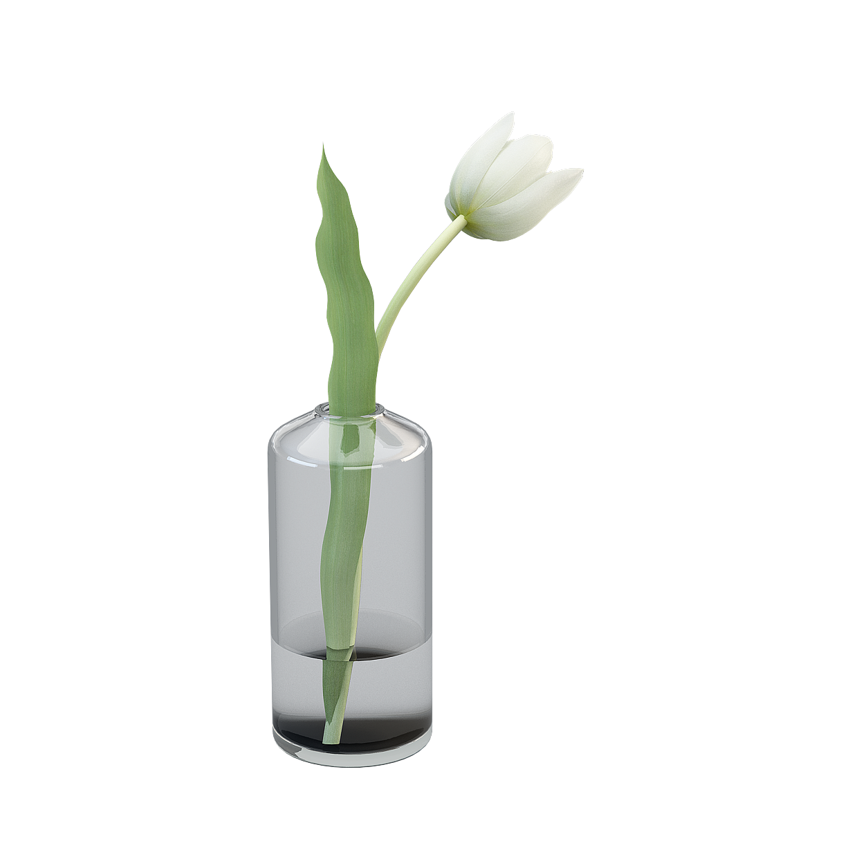 Elegant Tulip and Vase 3D Model – Low-Poly Floral Design