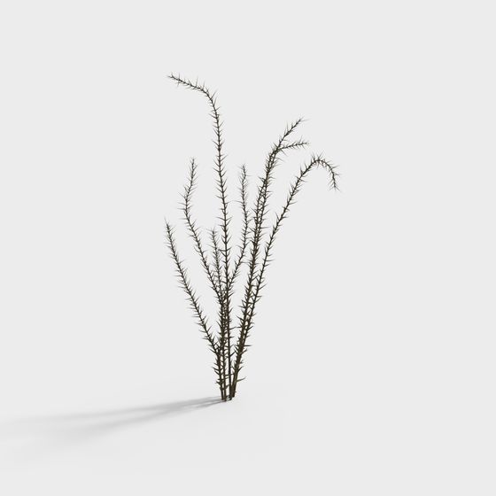 Unique Hedgehog Cactus 3D model