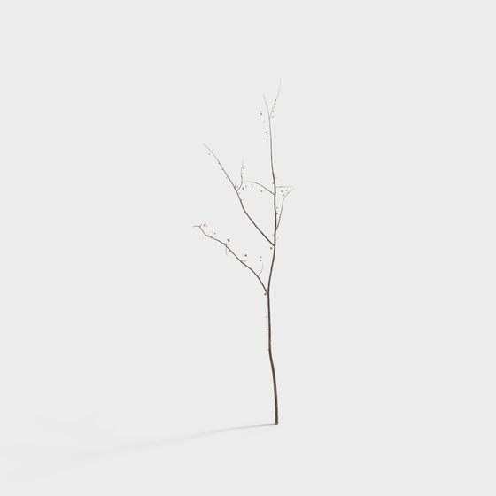 Winter Dry Branch 3D model