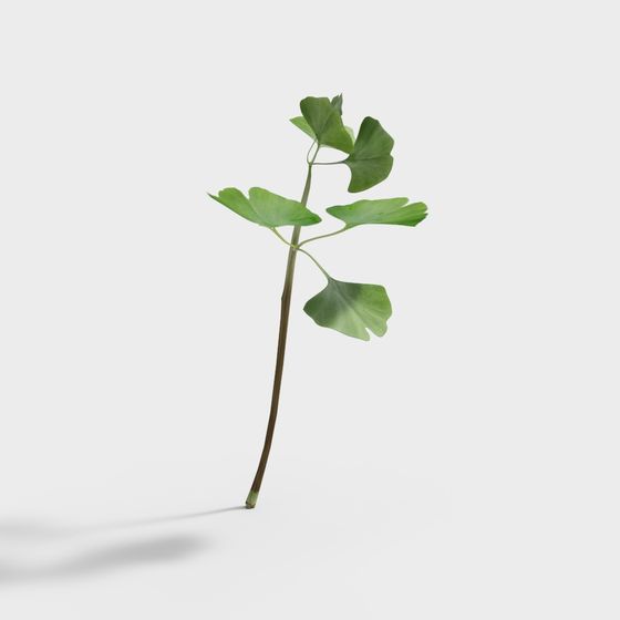 Realistic Ginkgo Branch 3D Model for Creative Projects
